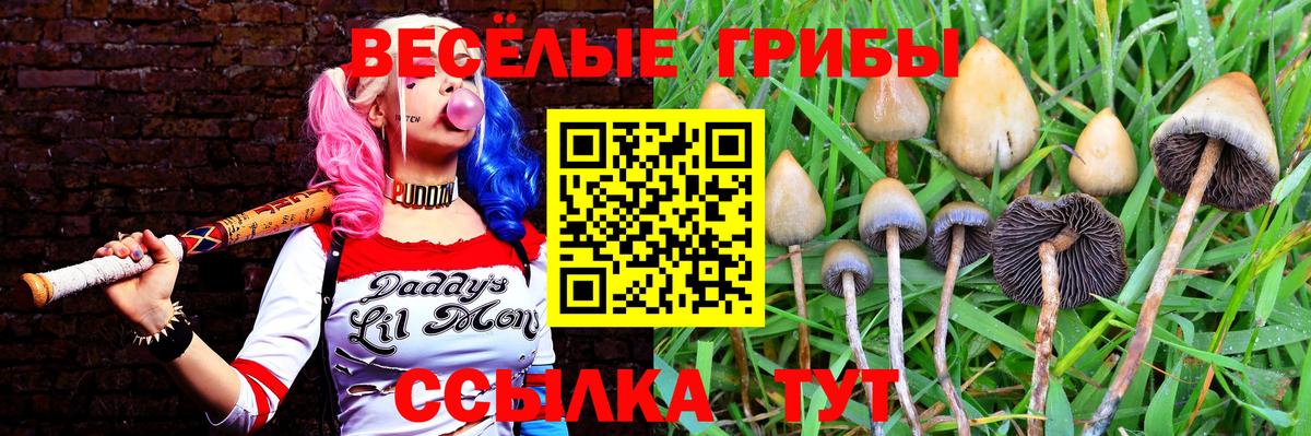 Галлюциногенные грибы мицелий Качканар